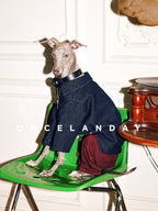 Italian Greyhound wearing ONCELANDAY dog jeans while seated on a green chair indoors, showing the clean silhouette of the slim-fit pants and the structured, non-elastic fabric designed to follow the dog’s natural body lines.