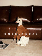 Italian Greyhound sitting in front of a sofa wearing ONCELANDAY lace dog pants, featuring a fitted waist and wide-leg cut with breathable lace inserts designed for sighthound body lines.