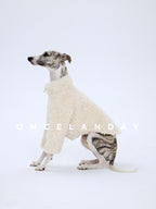 Italian Greyhound sitting on a white background wearing ONCELANDAY white lamb fleece dog jacket, showing overall fit and fleece volume