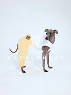 Italian Greyhound turning its head while wearing ONCELANDAY yellow denim dog jeans, showing the leather patch placement near the back waist and the rolled cuff detail