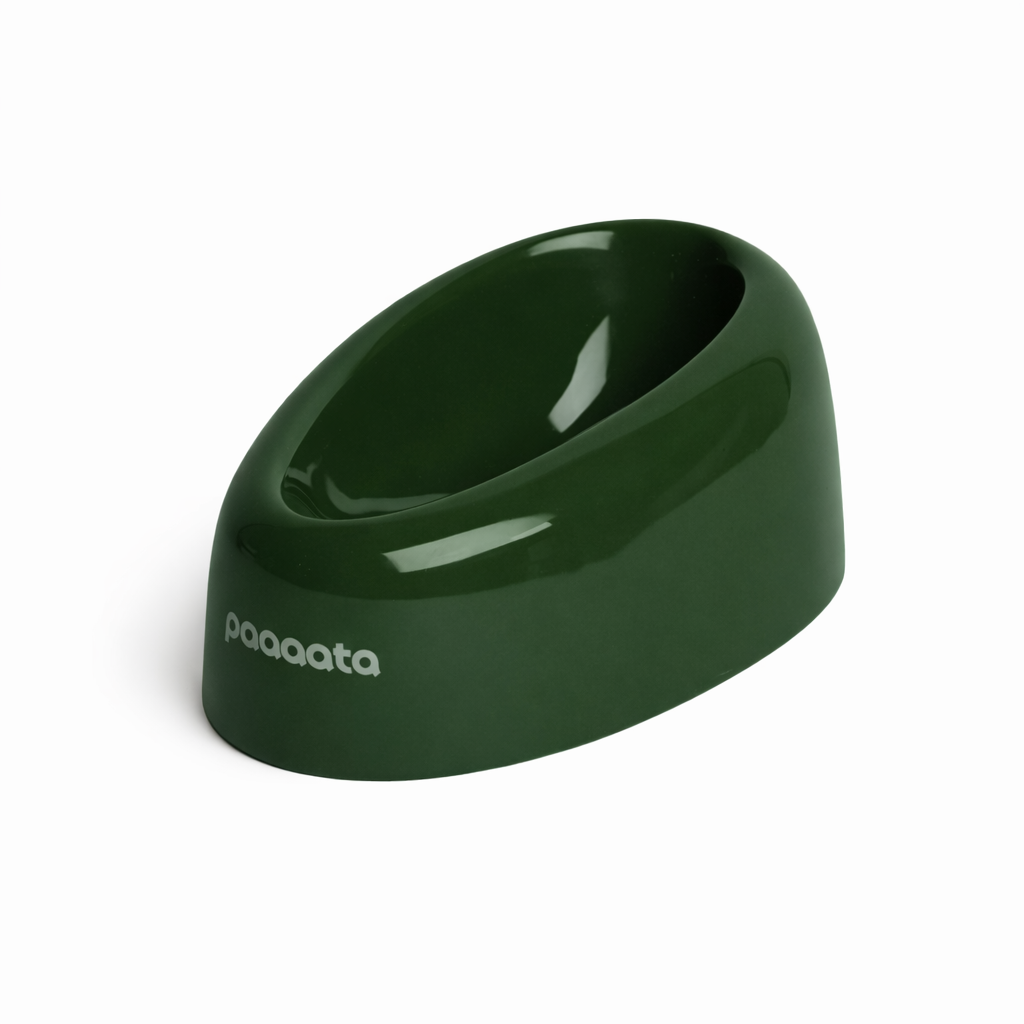 Green pet bowl with 'paaaata' branding on a white background