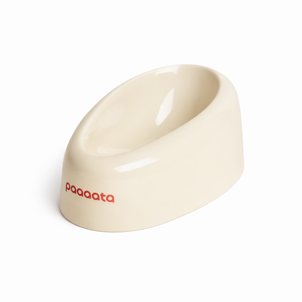 White pet bowl with 'paaaata' branding on a white background