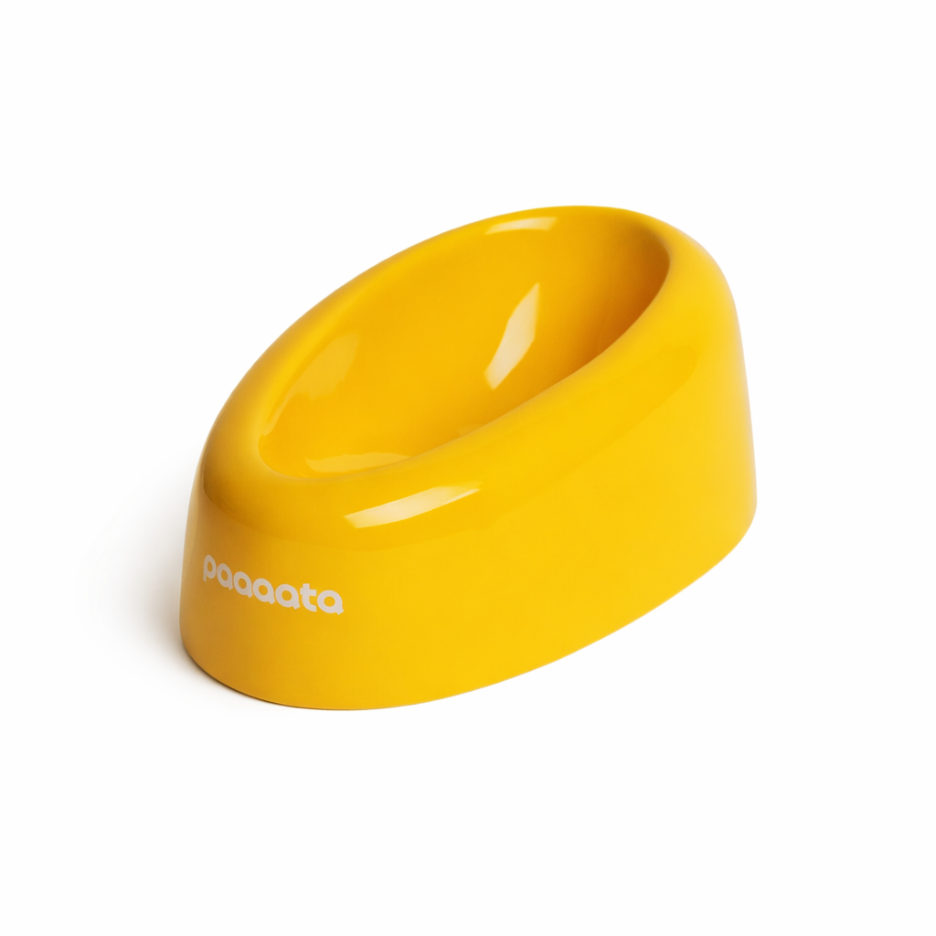 Yellow dog bowl with 'paaaata' branding on a white background