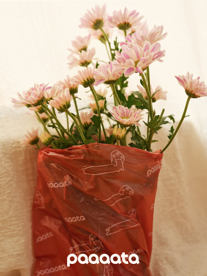 Pink flowers in a red 'paaaata' bag on a light background
