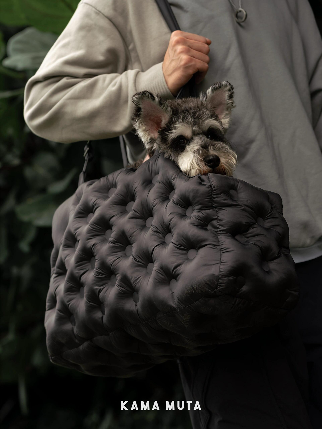 Padded dog carrier bag with a soft, quilted exterior that provides comfort and warmth during daily outings.