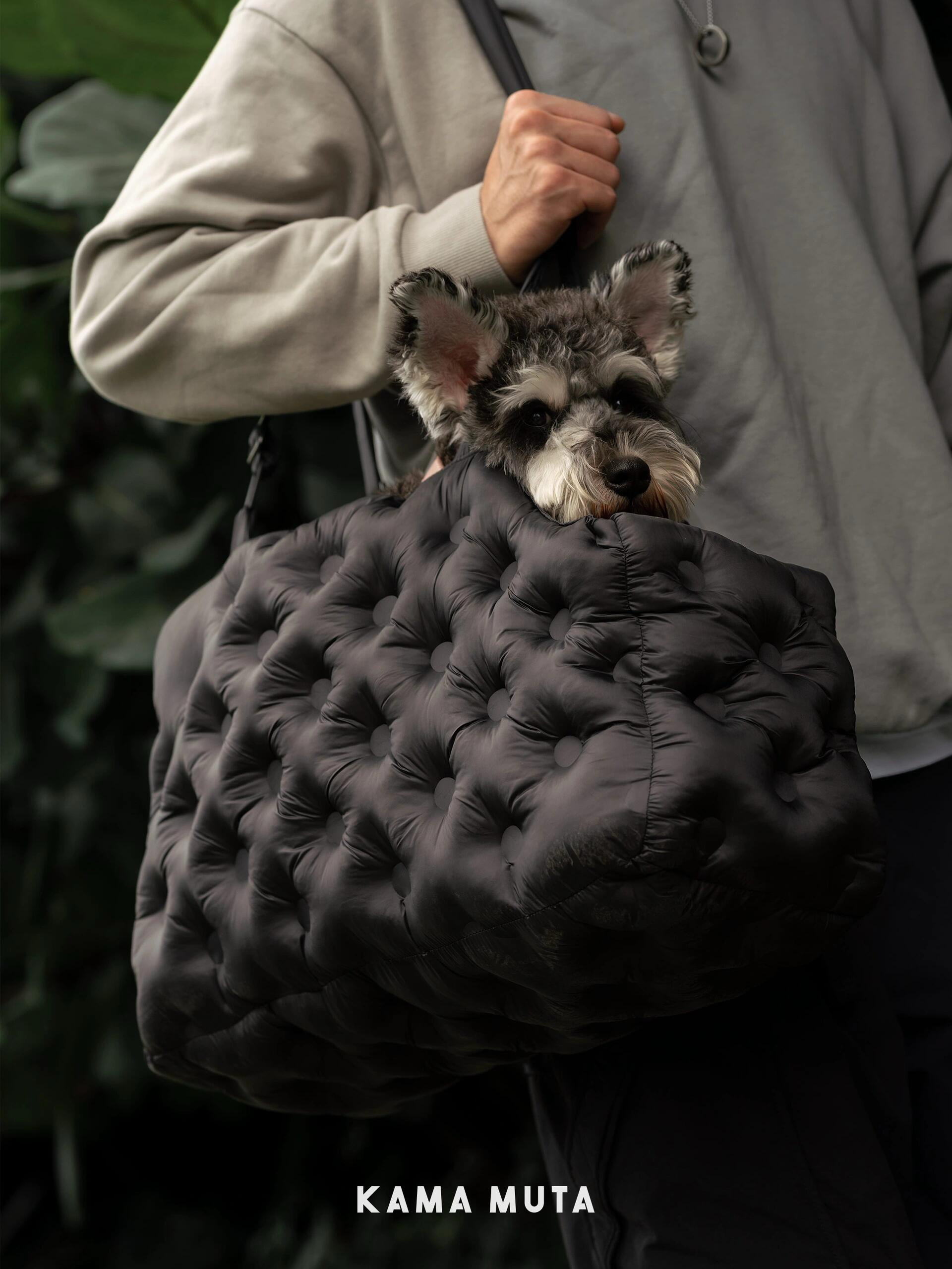 Padded dog carrier bag with a soft, quilted exterior that provides comfort and warmth during daily outings.