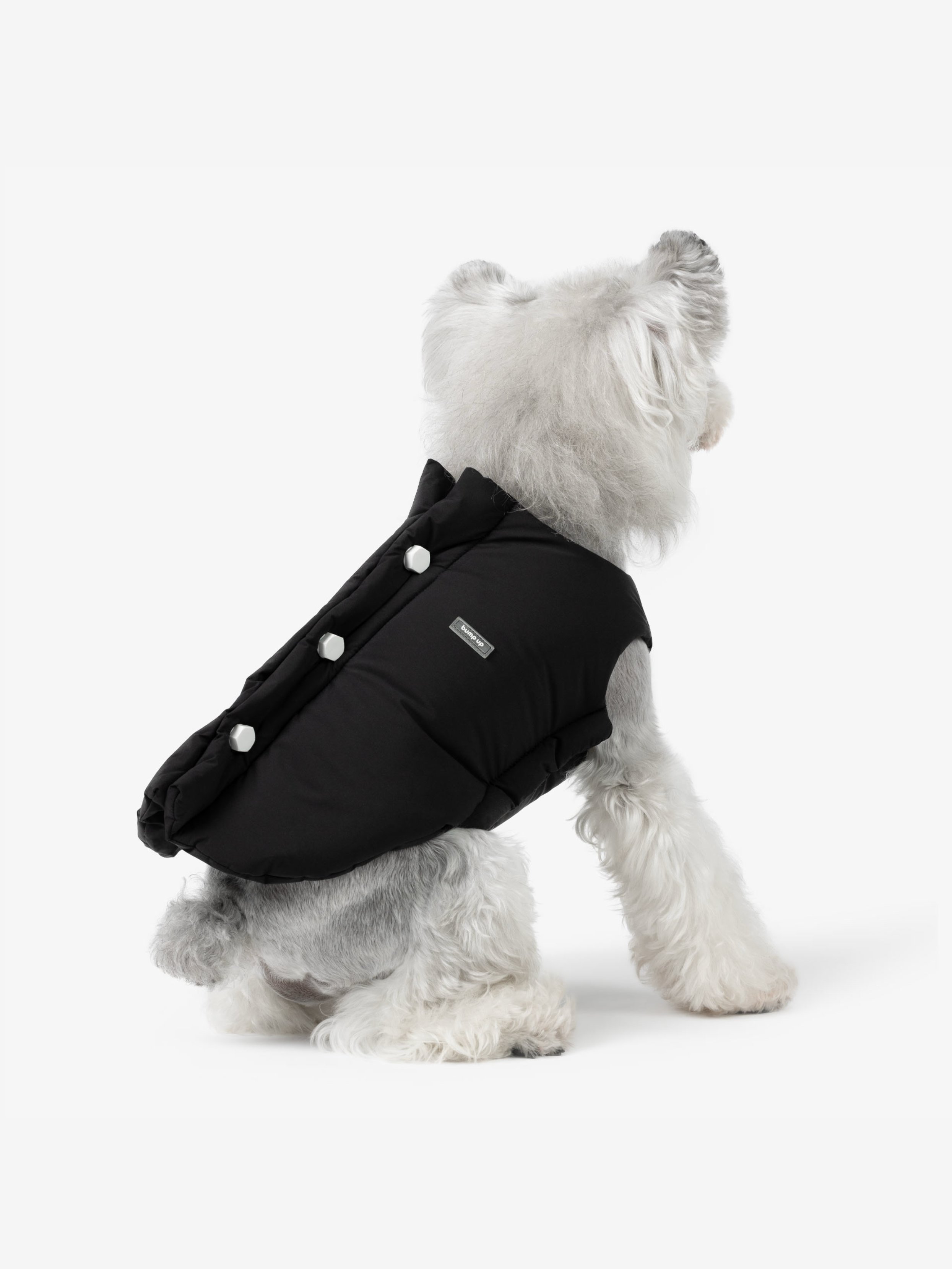 Black padded dog vest with side snap buttons shown from the back, offering a clean silhouette and easy-wear design.