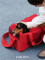 Small dog sitting inside a red pet carrier bag while being gently comforted by the owner