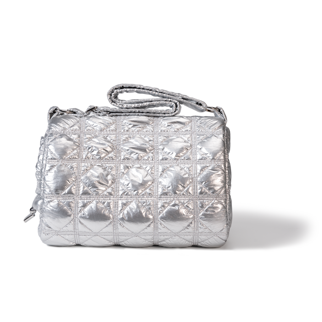 Silver dog carrier on a white background