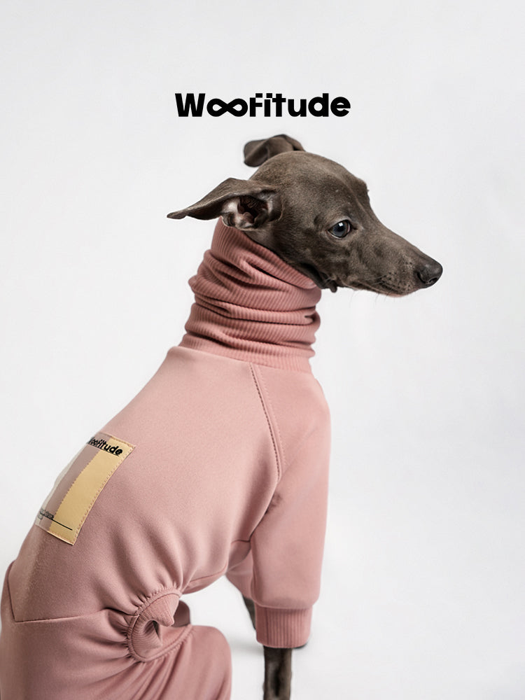 Pink dog suit back view showing seam lines and overall silhouette
