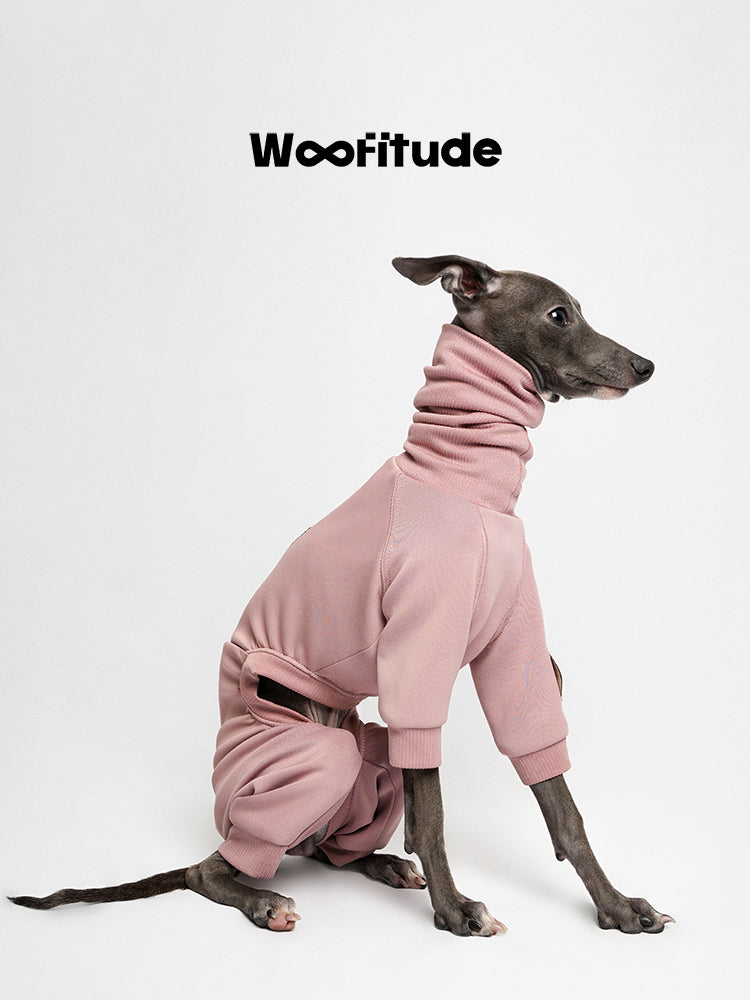 Pink dog suit shown in side view with full body fit on a sitting dog