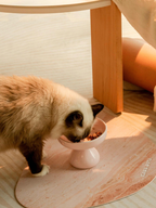 Pet feeding mat used under ceramic bowl while cat eats, preventing spills and protecting floor.