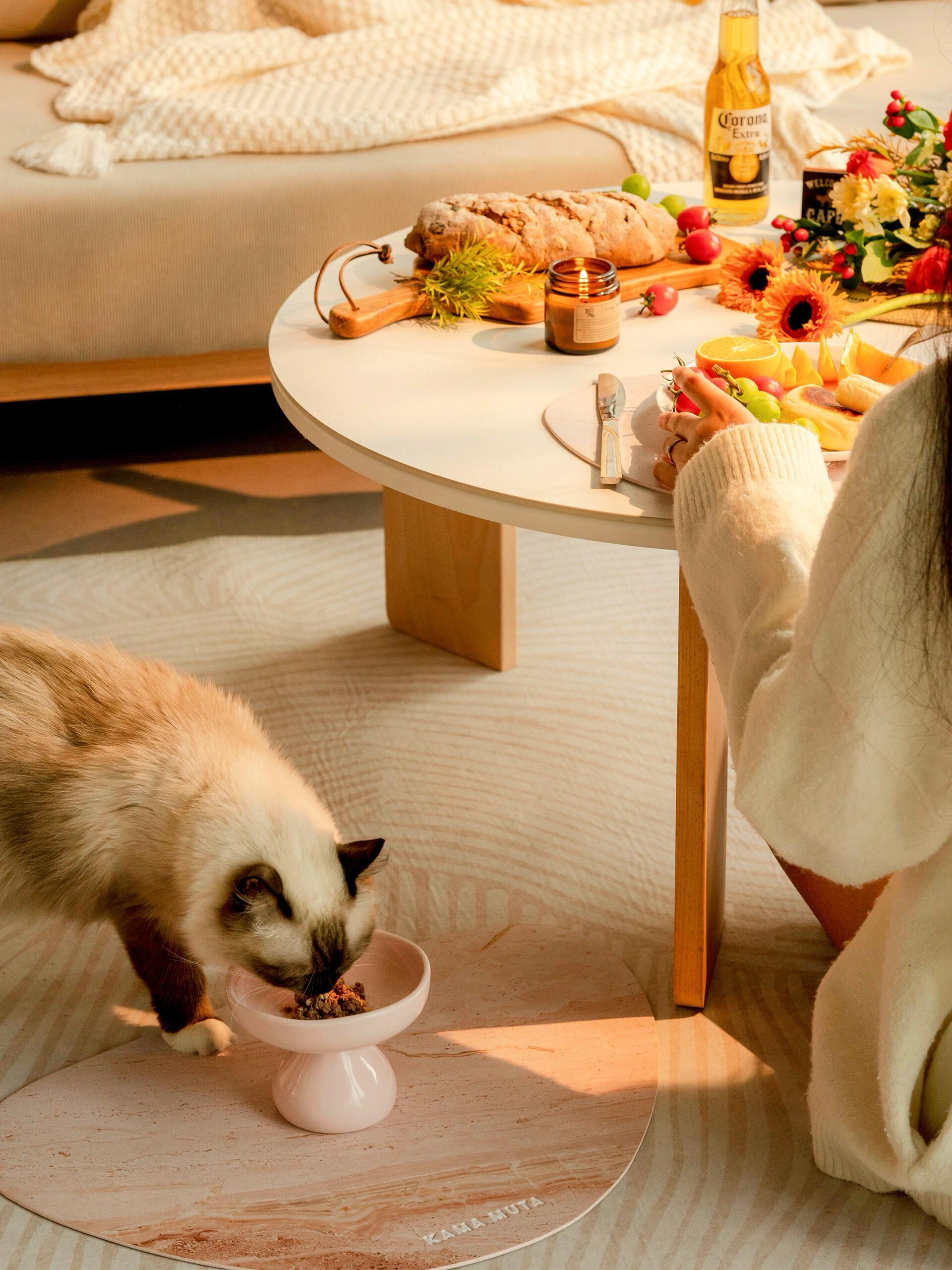 Pet placemat set placed under elevated bowl to protect floor during pet feeding time.