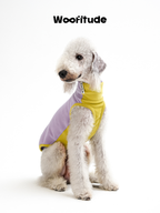 Poodle sitting in a color-block dog vest, presenting soft fleece material and balanced proportions.