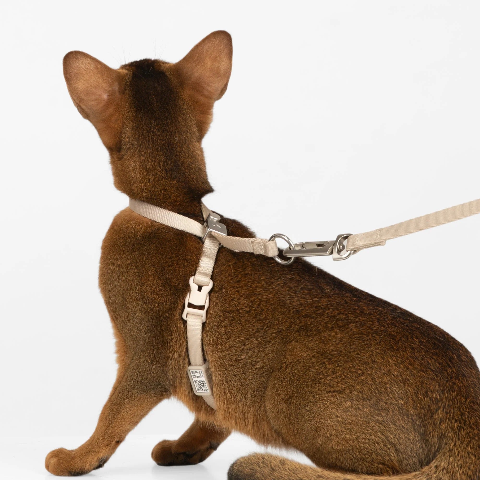 User Guide for Escape Proof Harness