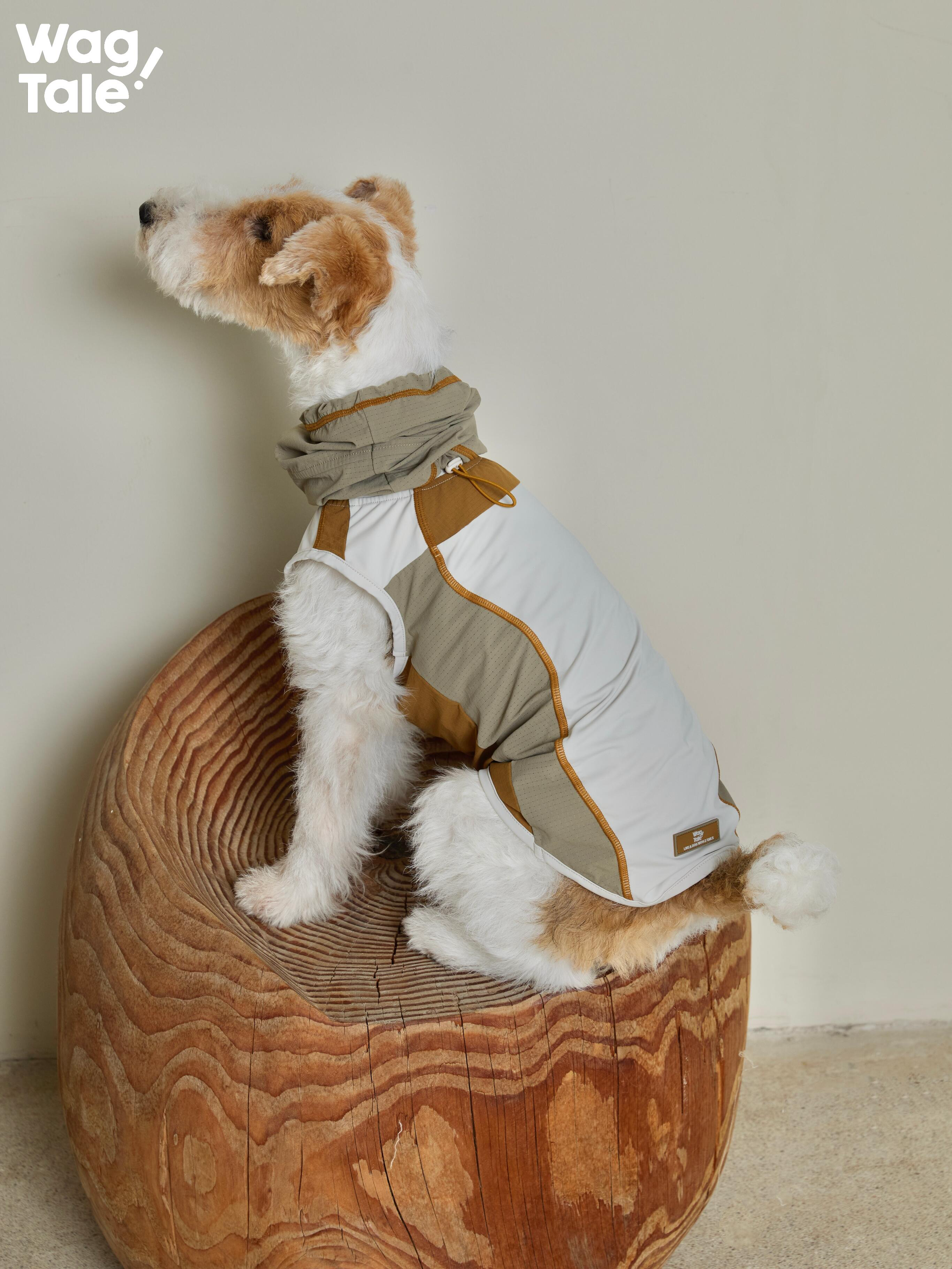 Side view of a dog wearing a color-block quick-dry dog vest with curved seams, showing layered fabric panels and a detachable neck gaiter.