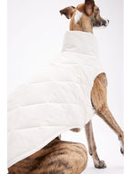 Back angle view of a quilted dog vest showing tailored fit and panel stitching