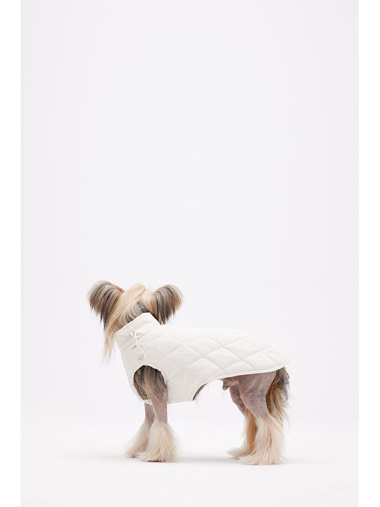 Back view of a small dog wearing a quilted vest, highlighting lightweight coverage and fit