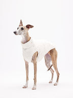 Dog wearing a quilted sleeveless vest, shown in a full-body front view with a high neck design