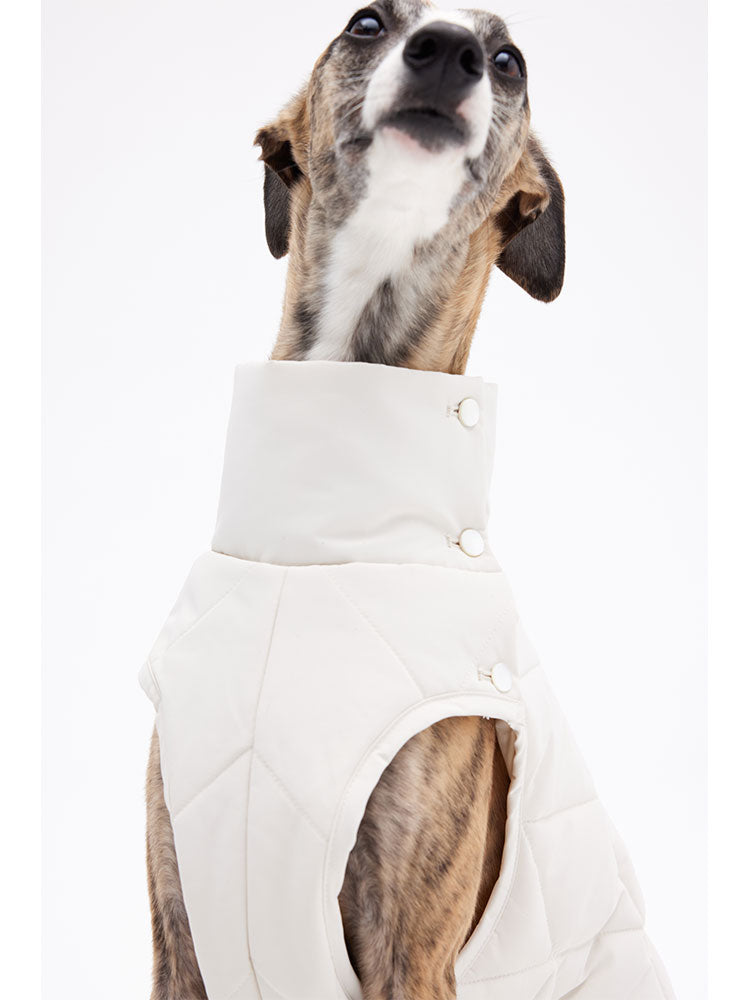Close-up of the high neck and button closure on a quilted dog vest