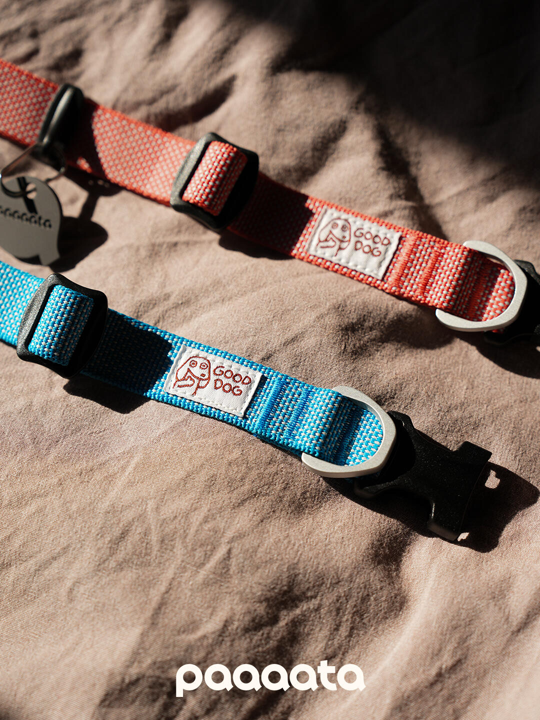 Red and blue dog collars featuring adjustable woven webbing, secure side-release buckles, and lightweight metal leash rings for everyday walks.