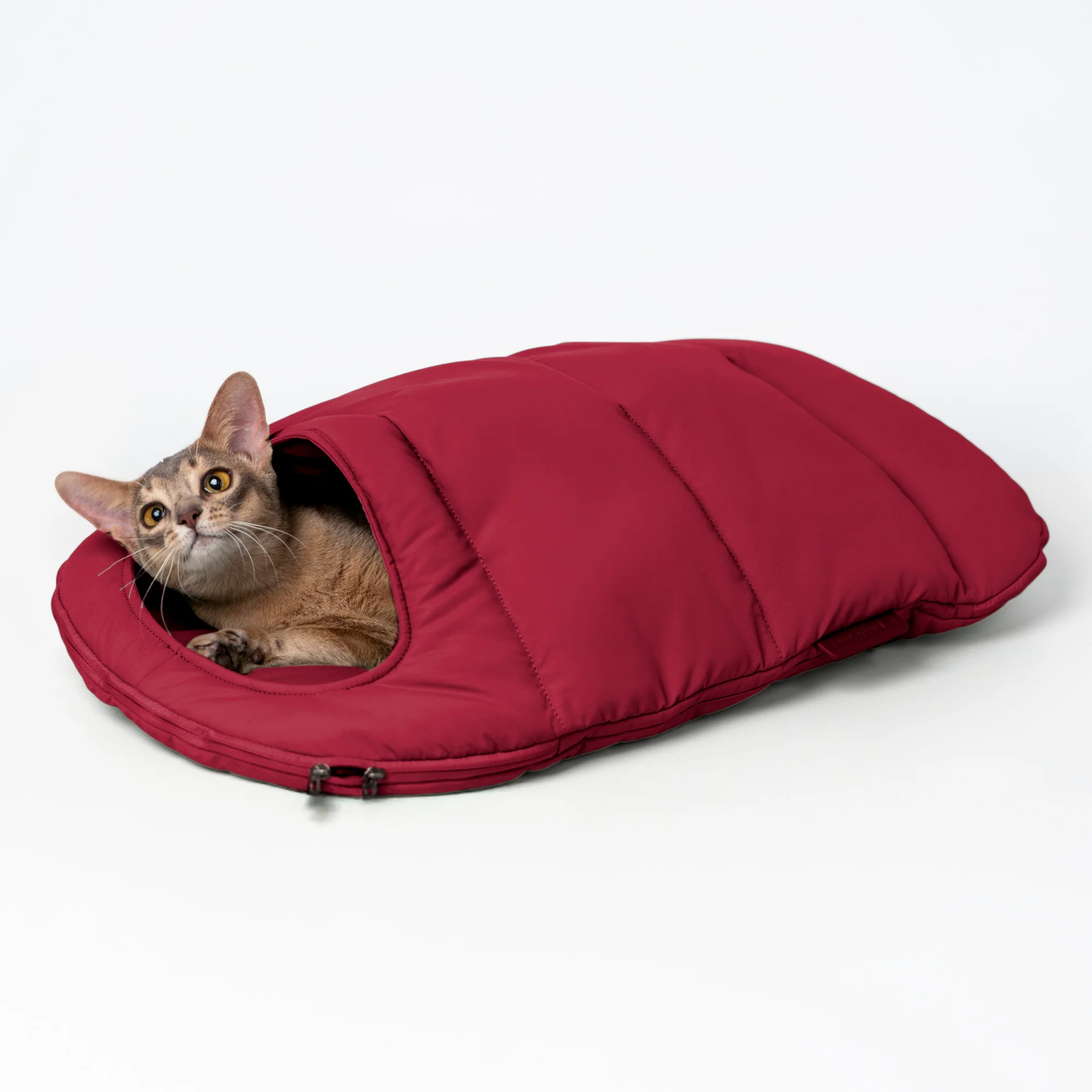 Warm Red cat sleeping bag with a cat resting inside on a white background