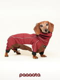 Sausage dog wearing a red waterproof dog rain jacket in a studio setting, showing full body coverage, a tailored fit, and a design made for long-bodied dogs.