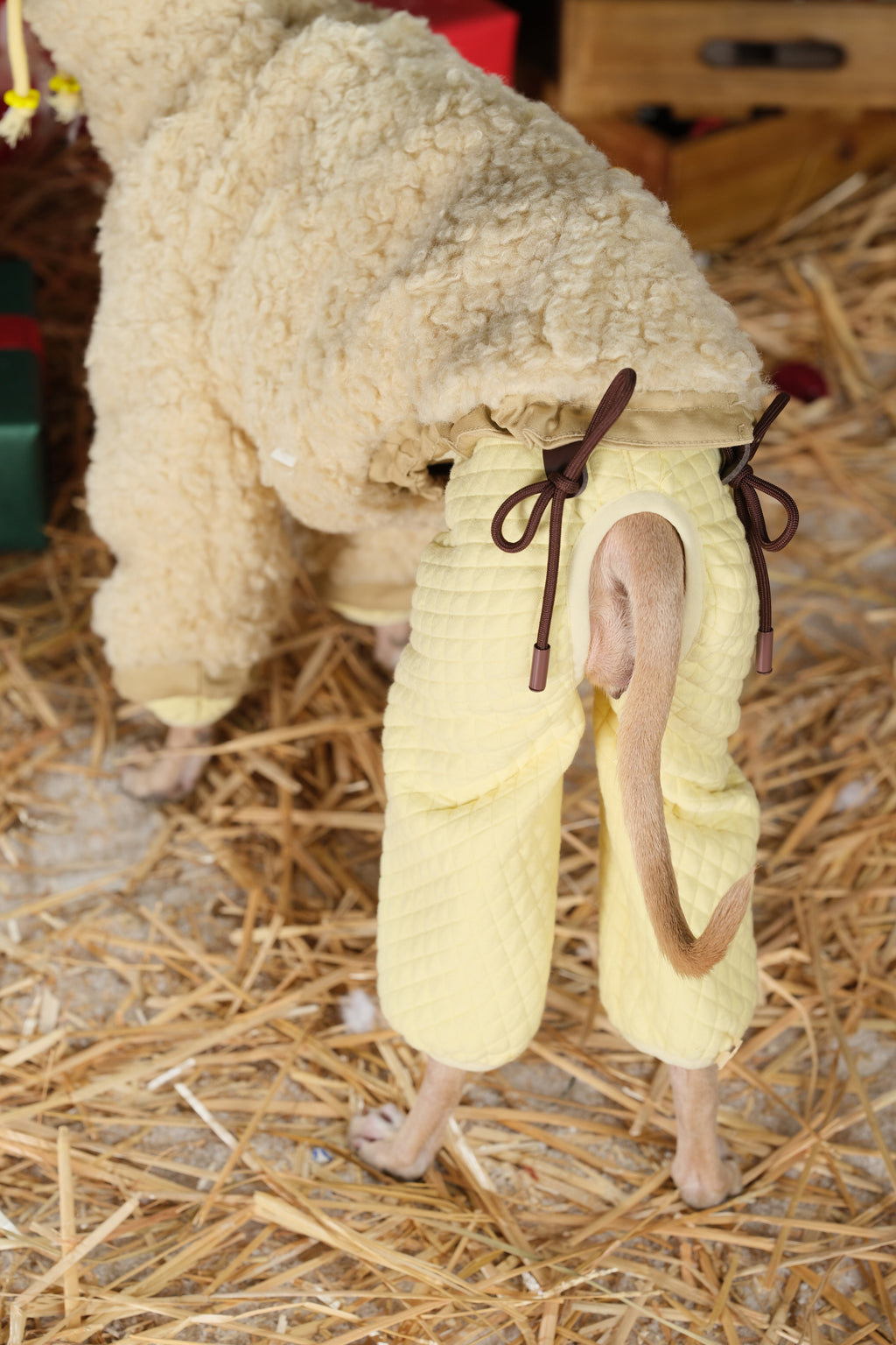 Close-up of reversible dog jacket showing adjustable back drawstring and tail opening for a secure winter fit