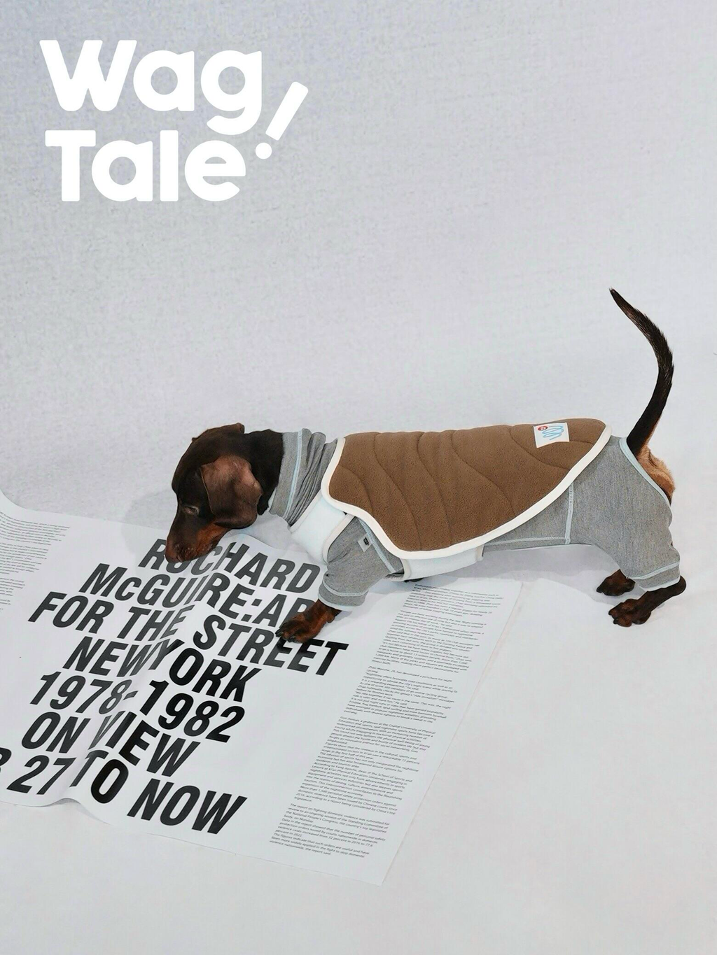 Reversible dog vest shown from the side on a dachshund, featuring a minimalist layered design for everyday wear.