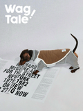 Reversible dog vest shown from the side on a dachshund, featuring a minimalist layered design for everyday wear.