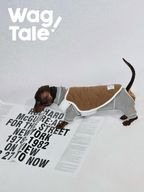 Reversible dog vest shown from the side on a dachshund, featuring a minimalist layered design for everyday wear.