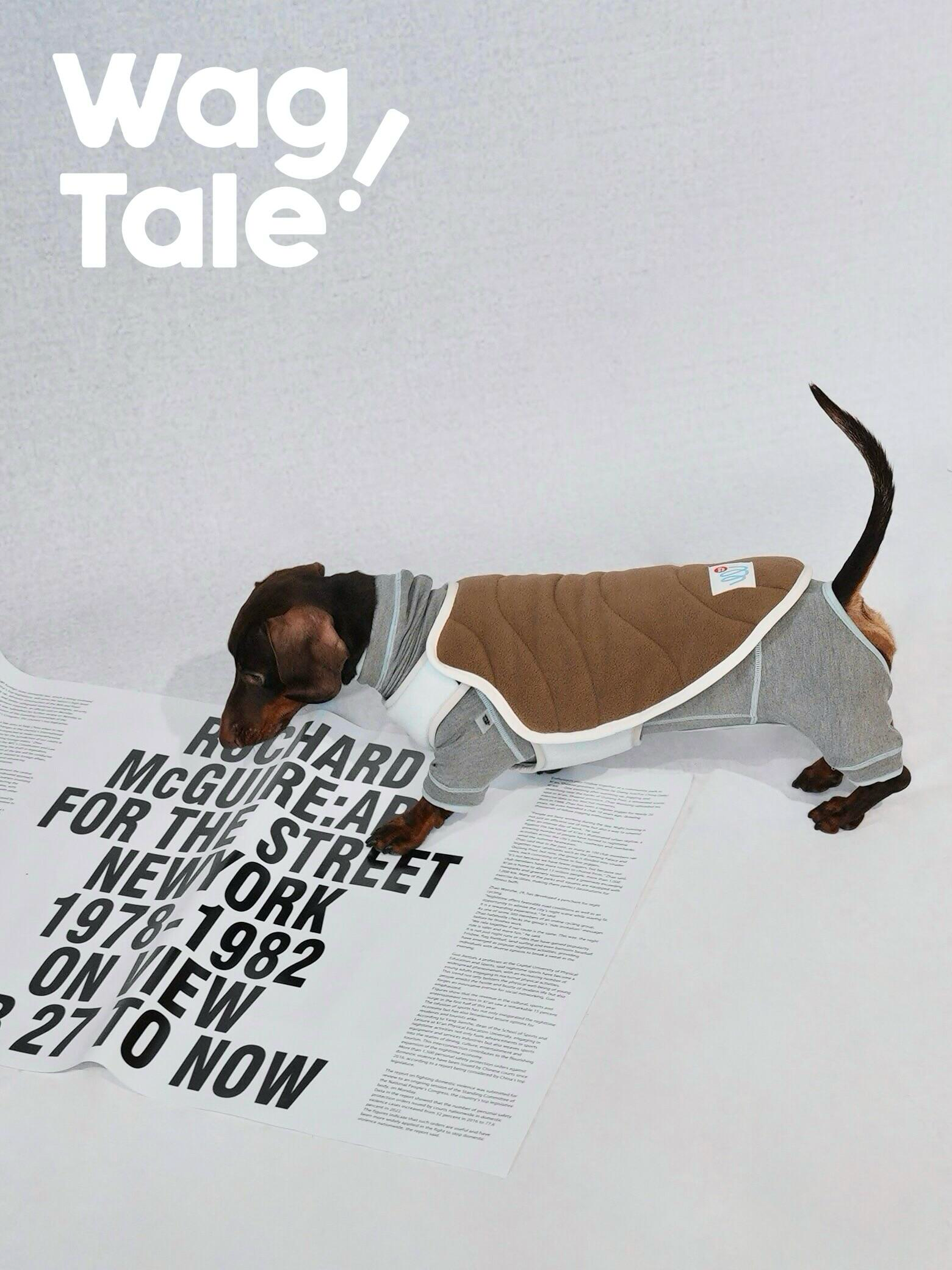 Reversible dog vest shown from the side on a dachshund, featuring a minimalist layered design for everyday wear.