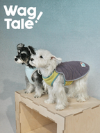Two dogs wearing reversible dog vests in contrasting color combinations, highlighting modern style and versatility.