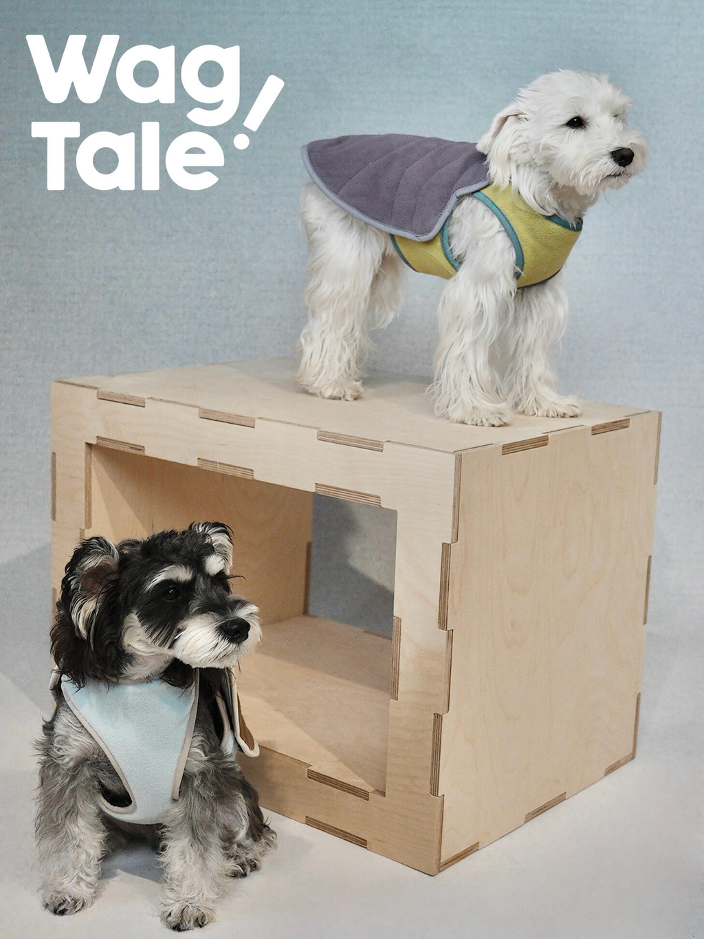 Dogs wearing reversible dog vests with contrasting inner and outer layers, designed for versatile daily styling.