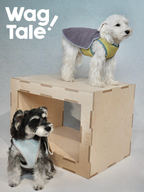 Dogs wearing reversible dog vests with contrasting inner and outer layers, designed for versatile daily styling.