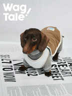 Front view of a reversible dog vest with a quilted outer layer, offering lightweight warmth and easy wear.