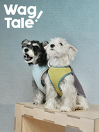 Reversible dog vests with a minimalist design, suitable for daily wear across different dog breeds.