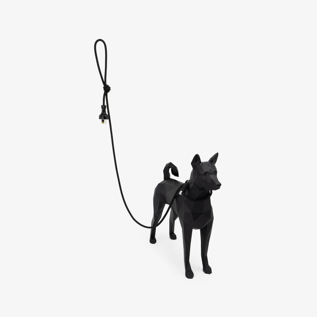Rope dog leash shown in use on a dog, demonstrating length, flexibility, and natural drape during walking