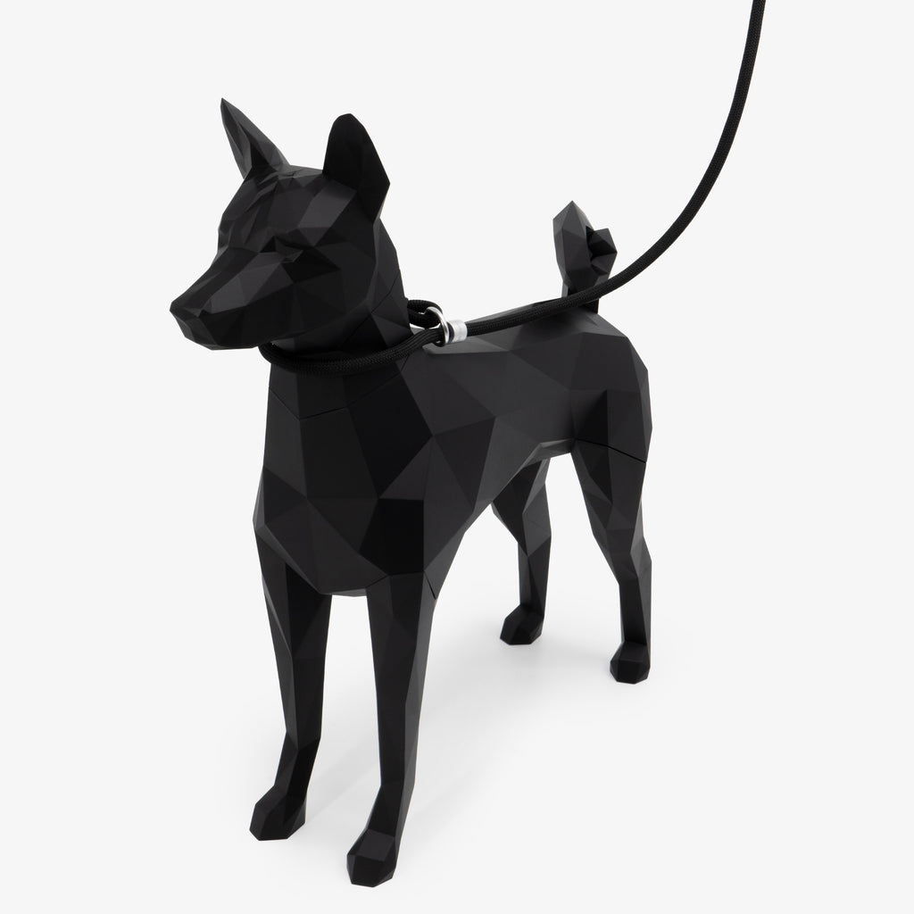 Side view of a dog wearing a rope leash, illustrating leash angle and responsive control during movement