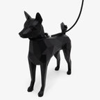 Side view of a dog wearing a rope leash, illustrating leash angle and responsive control during movement