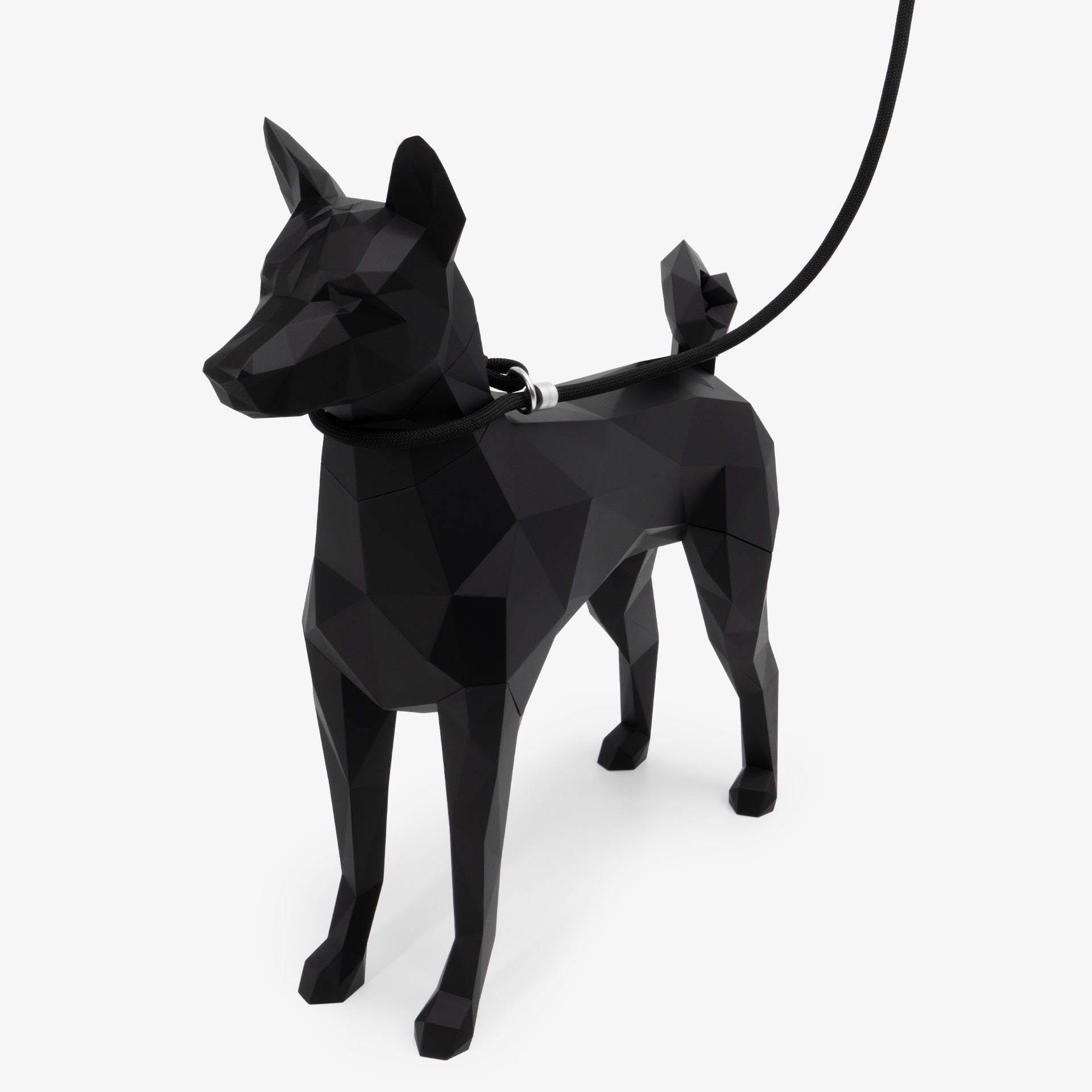 Side view of a dog wearing a rope leash, illustrating leash angle and responsive control during movement