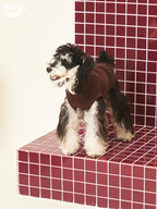Small dog standing on tiled steps wearing a self-heating dog jumper in dark brown, showing warmth retention and flexible movement.