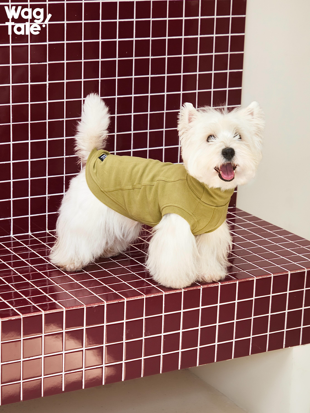 West Highland White Terrier wearing an olive green self-heating dog jumper with a high-neck design, showing a clean solid color fit and lightweight warmth.
