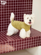 West Highland White Terrier wearing an olive green self-heating dog jumper with a high-neck design, showing a clean solid color fit and lightweight warmth.
