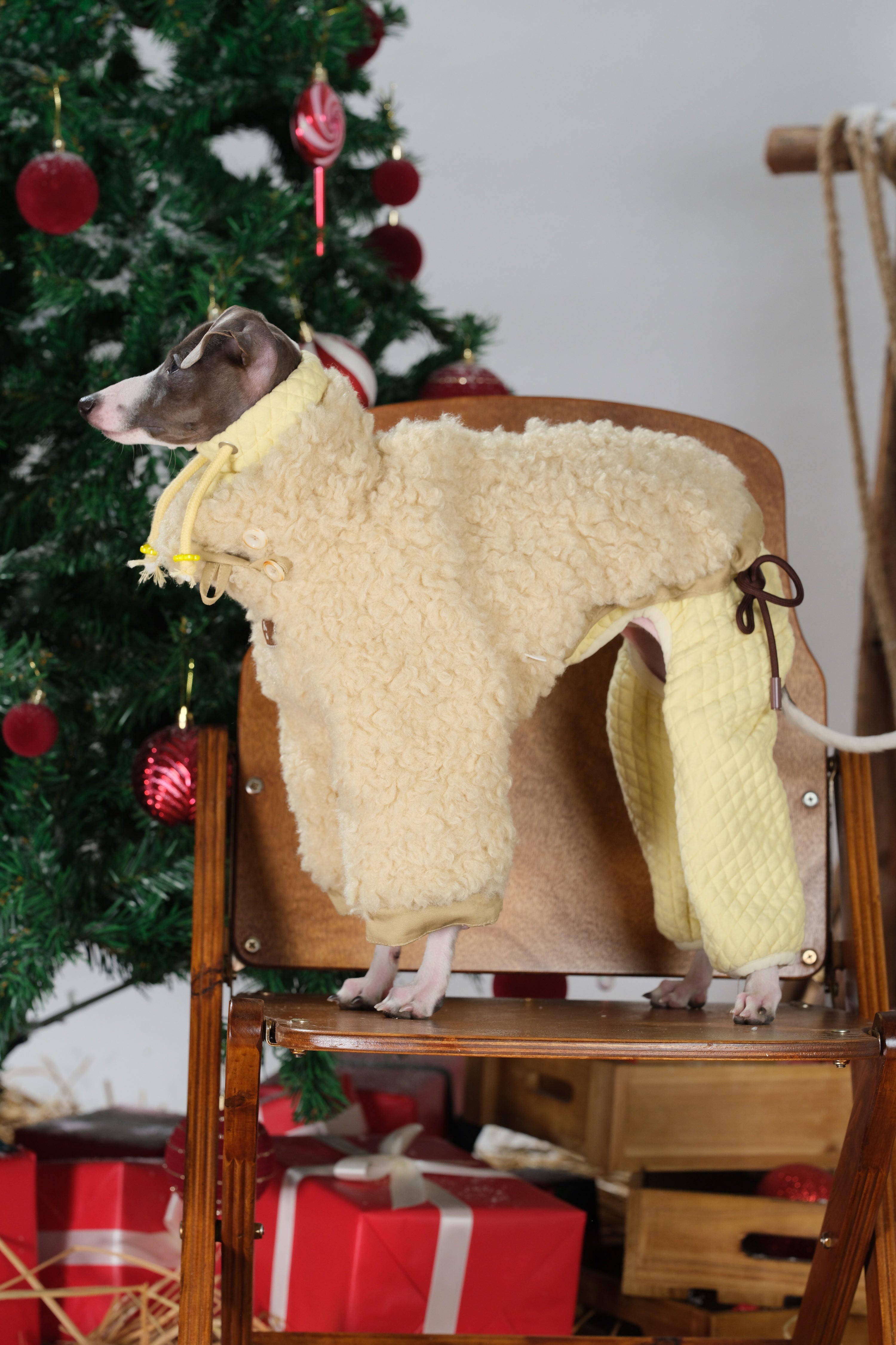 Side view of a dog wearing a sherpa dog jacket with soft fleece exterior and relaxed winter fit