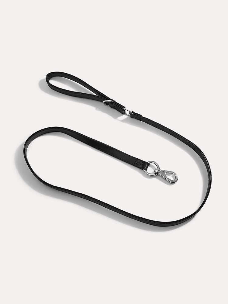 Short-handle leather dog leash designed for close control and comfortable grip.