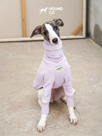 Sighthound sitting calmly while wearing a purple fleece dog shirt with high collar and front-leg sleeves