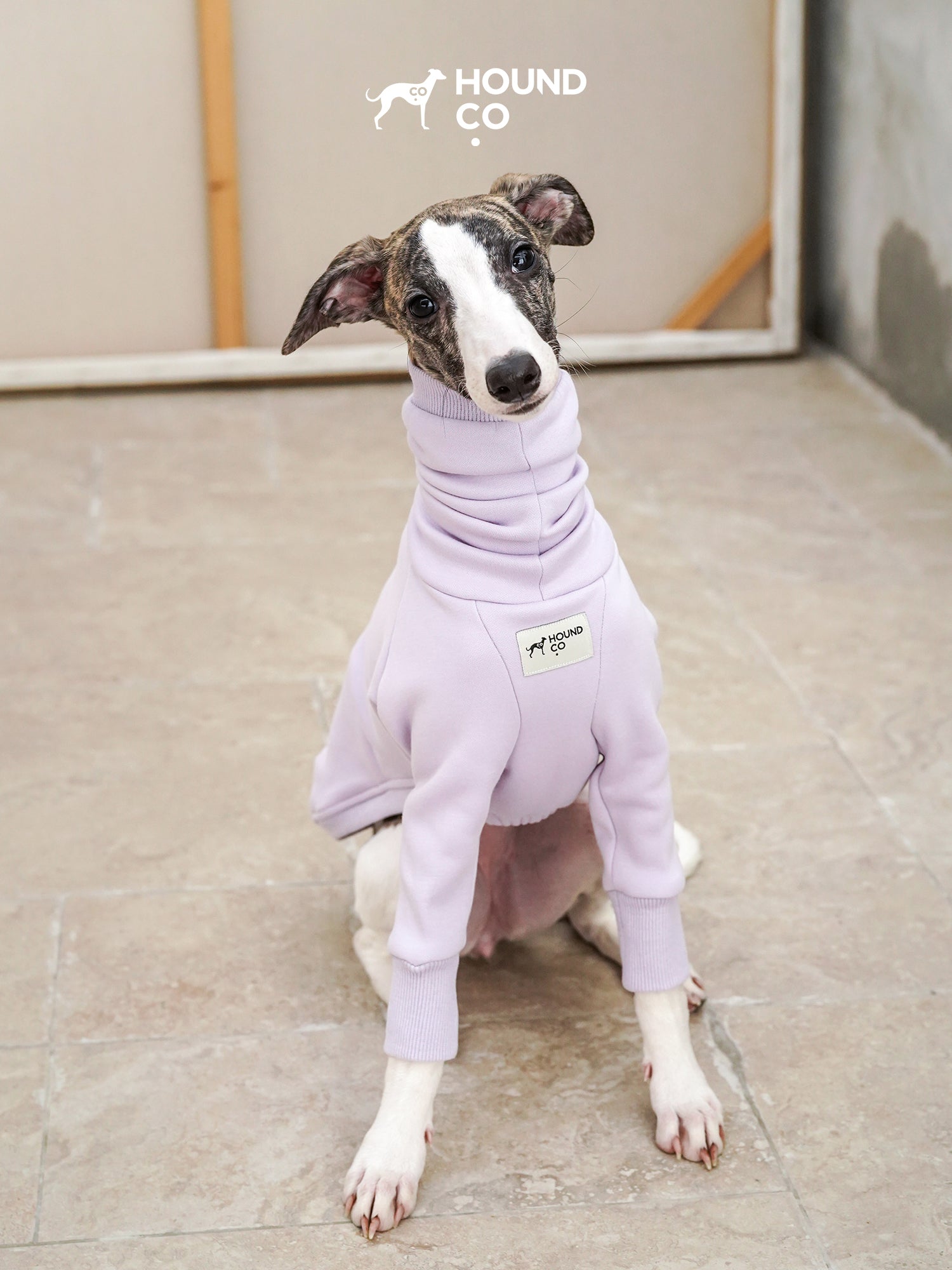 Sighthound sitting calmly while wearing a purple fleece dog shirt with high collar and front-leg sleeves
