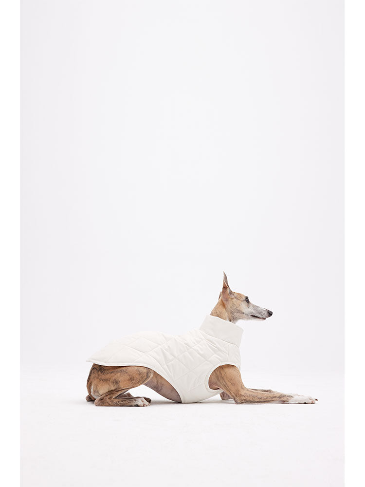 Side view of a dog lying down while wearing a sleeveless quilted vest, showing comfort and flexibility
