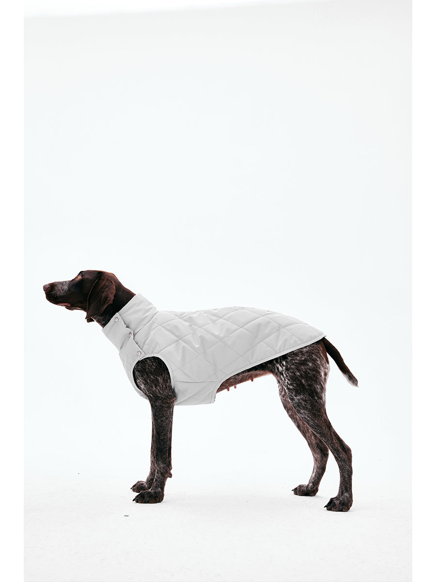 Side profile of a sleeveless dog vest with quilted panels and lightweight padding